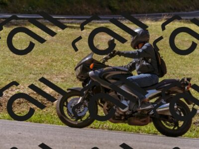 202508091056-_DSC5814_d1_