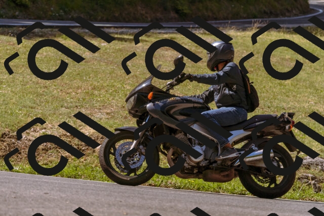 202508091056-_DSC5814_d1_