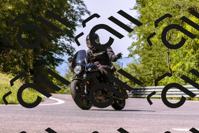 202508091058-_DSC5815_d1_