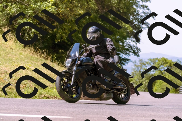 202508091058-_DSC5816_d1_