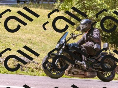 202508091058-_DSC5817_d1_