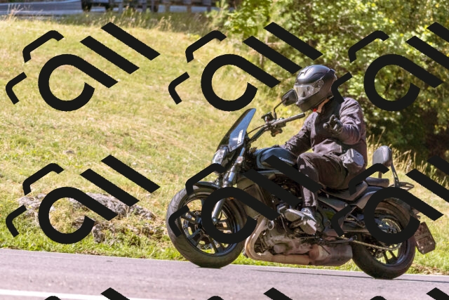 202508091058-_DSC5817_d1_