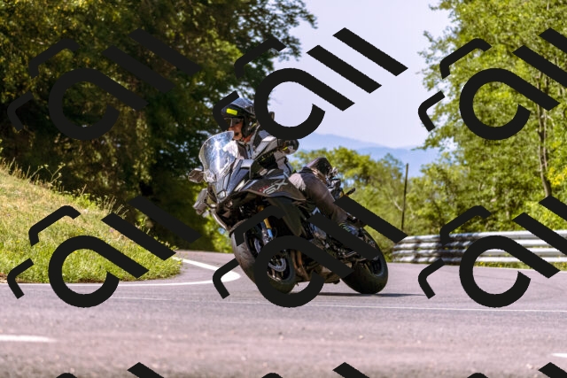 202508091100-_DSC5819_d1_