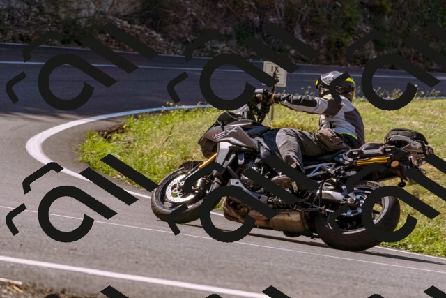 202508091100-_DSC5823_d1_