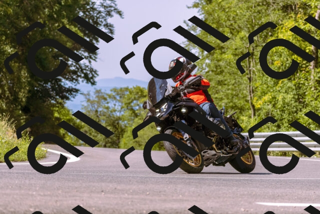 202508091100-_DSC5824_d1_