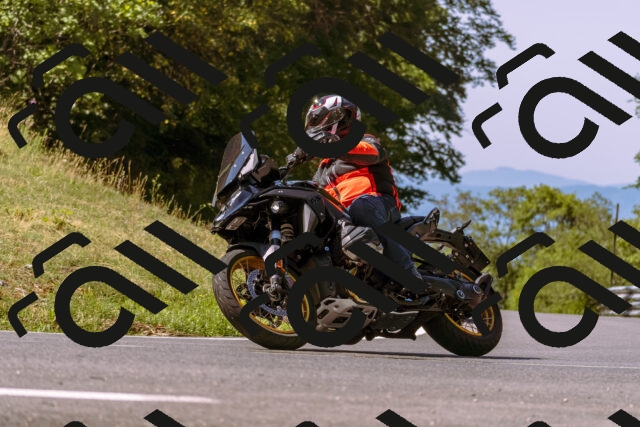 202508091100-_DSC5825_d1_