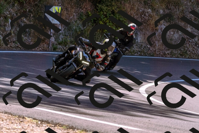 202508091101-_DSC5833_d1_