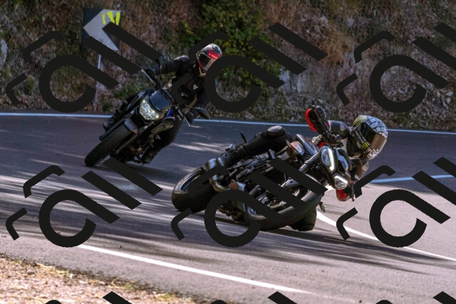 202508091101-_DSC5834_d1_