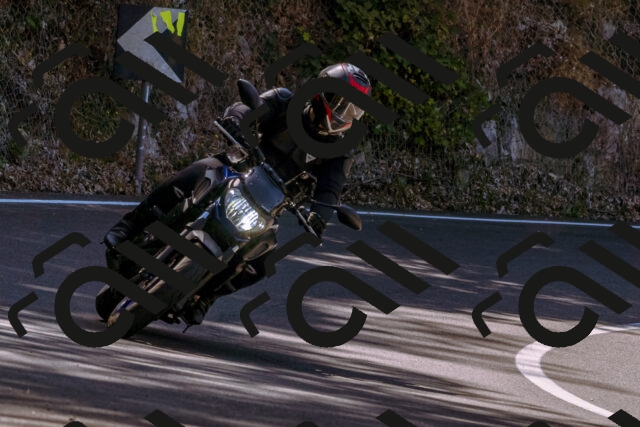 202508091101-_DSC5835_d1_