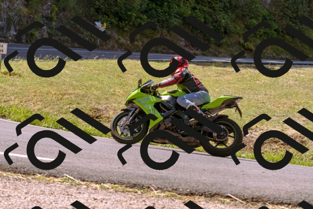 202508091107-_DSC5842_d1_