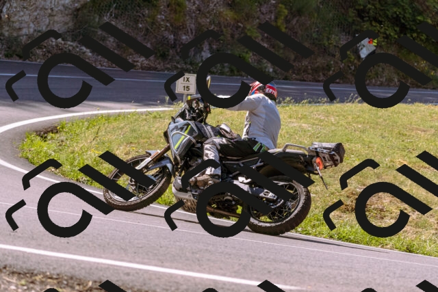 202508091115-_DSC5847_d1_