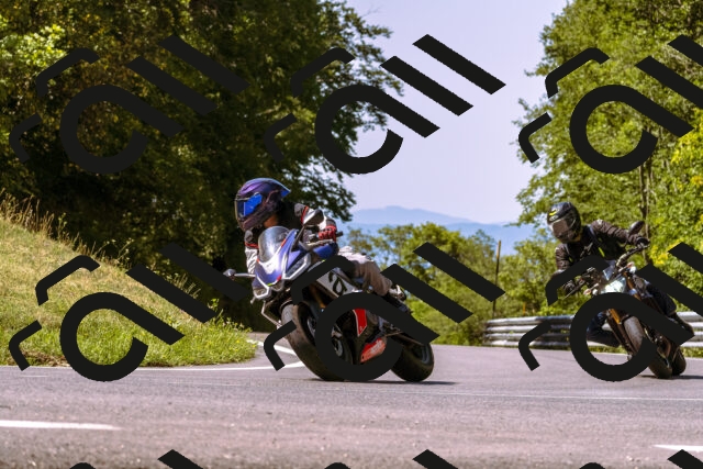 202508091115-_DSC5848_d1_