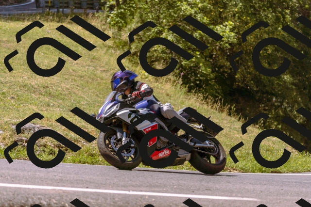 202508091115-_DSC5849_d1_