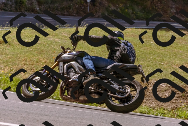 202508091115-_DSC5851_d1_