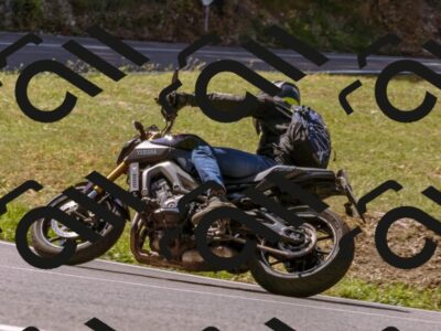 202508091115-_DSC5851_d1_