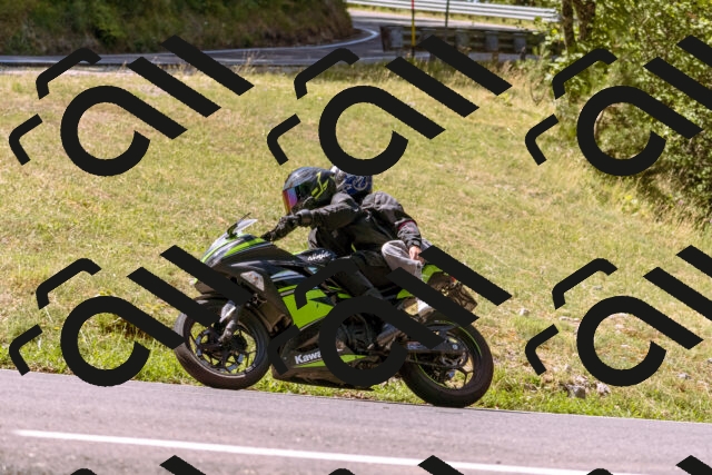 202508091115-_DSC5852_d1_