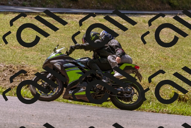 202508091115-_DSC5853_d1_