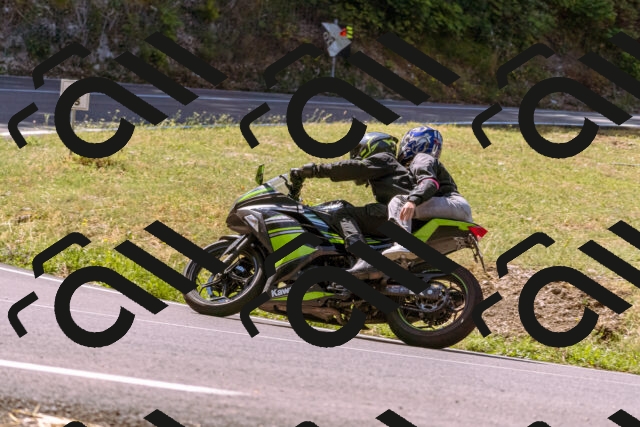 202508091115-_DSC5854_d1_