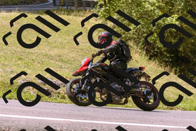 202508091116-_DSC5860_d1_