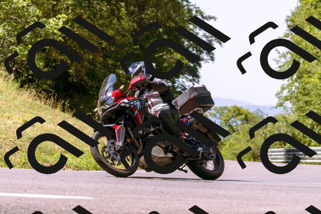 202508091117-_DSC5864_d1_