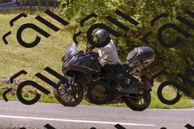 202508091118-_DSC5869_d1_