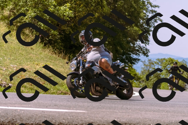 202508091120-_DSC5871_d1_