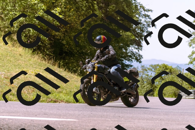 202508091120-_DSC5873_d1_