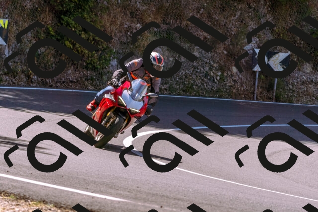 202508091125-_DSC5885_d1_