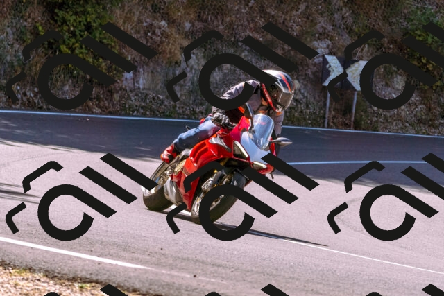 202508091125-_DSC5886_d1_