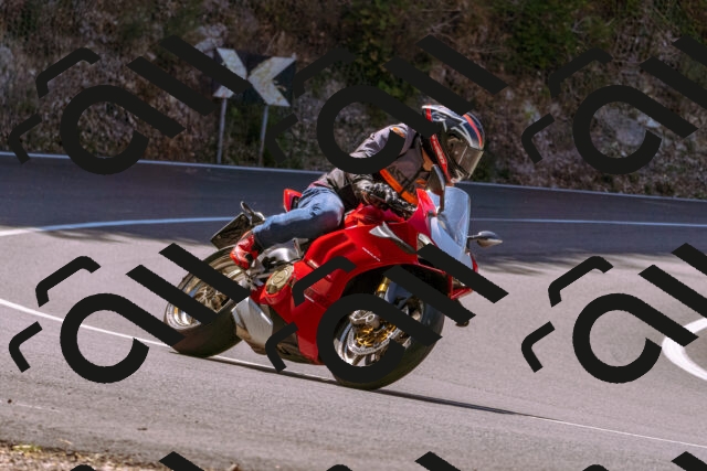 202508091125-_DSC5887_d1_