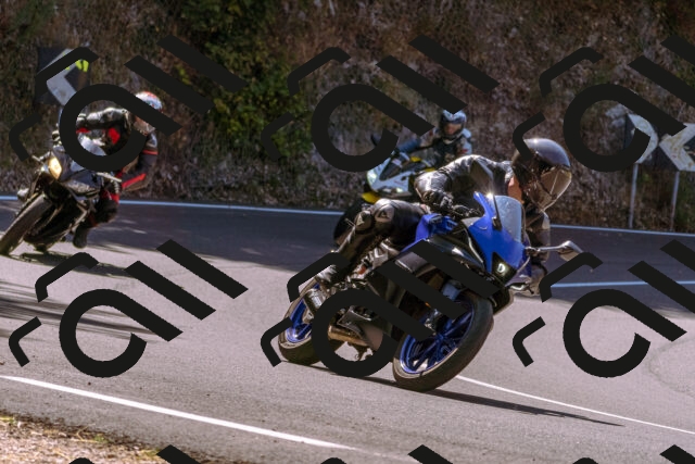 202508091127-_DSC5896_d1_