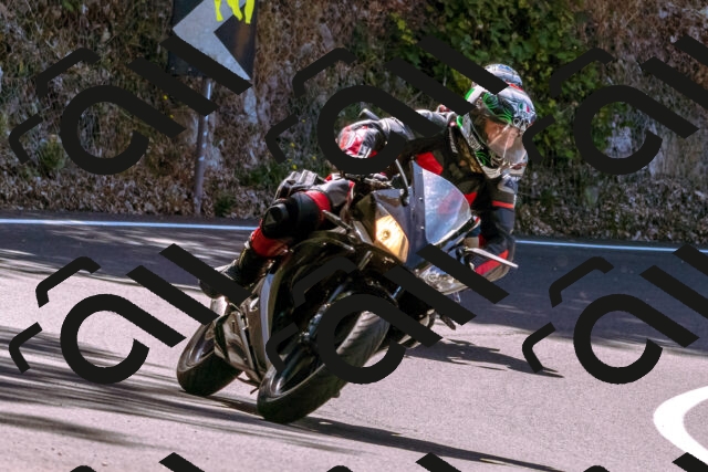 202508091127-_DSC5897_d1_