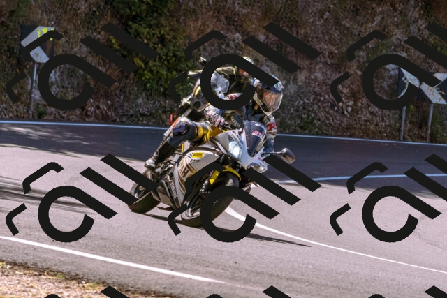 202508091127-_DSC5899_d1_