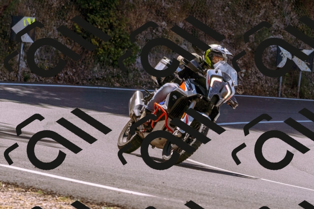 202508091127-_DSC5902_d1_