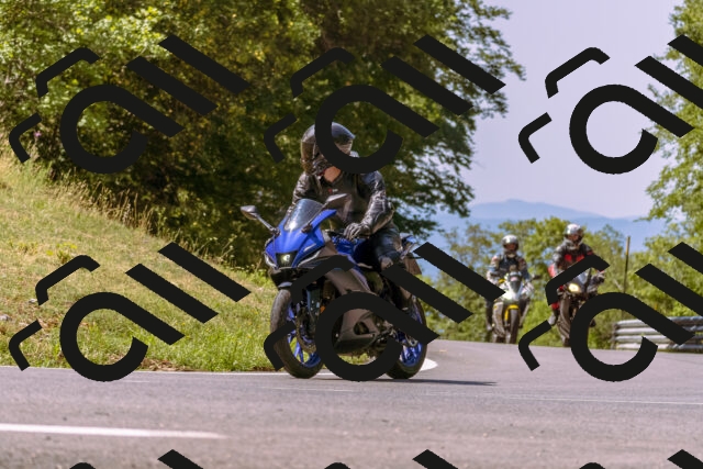 202508091129-_DSC5904_d1_