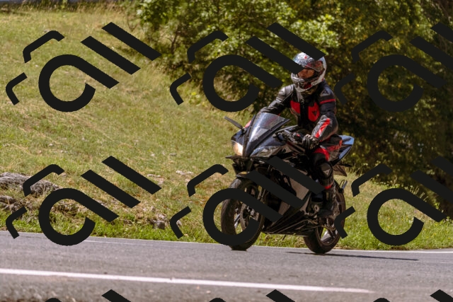 202508091129-_DSC5908_d1_