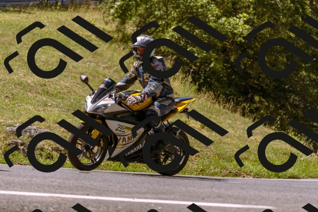 202508091129-_DSC5909_d1_