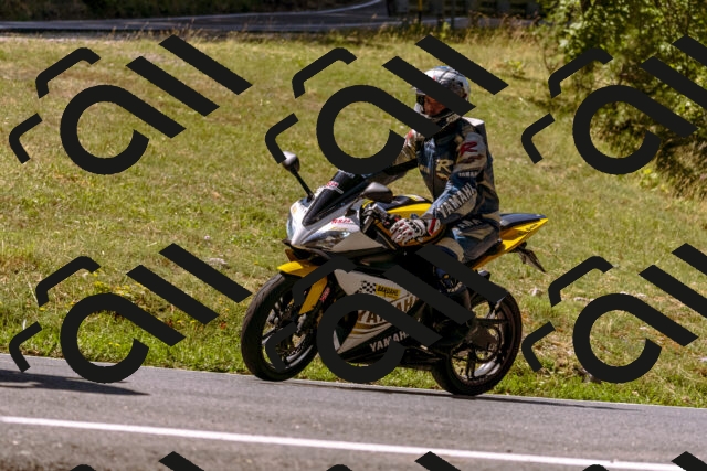 202508091129-_DSC5910_d1_