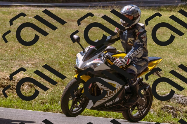 202508091129-_DSC5911_d1_