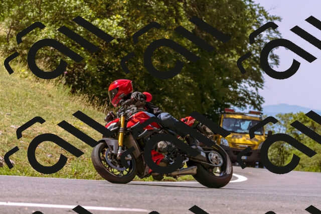 202508091130-_DSC5914_d1_