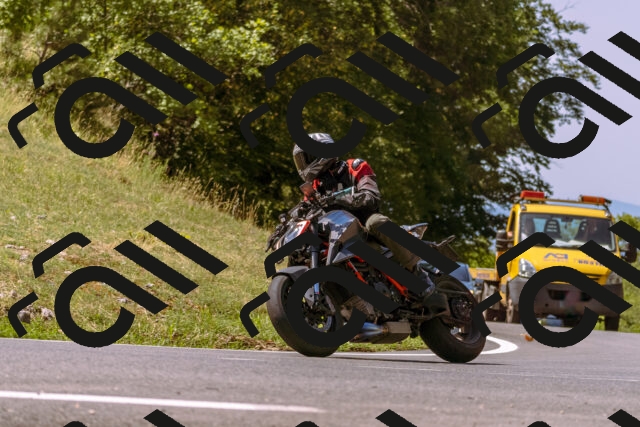 202508091130-_DSC5916_d1_