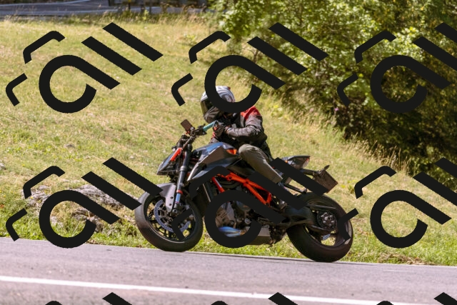 202508091130-_DSC5917_d1_