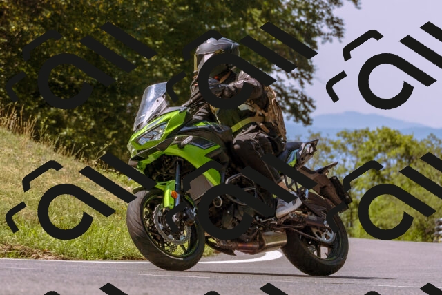 202508091130-_DSC5921_d1_