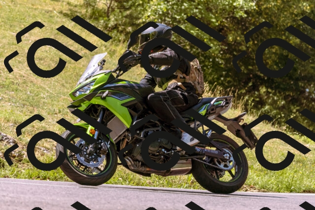 202508091130-_DSC5922_d1_