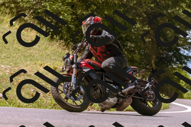 202508091130-_DSC5928_d1_