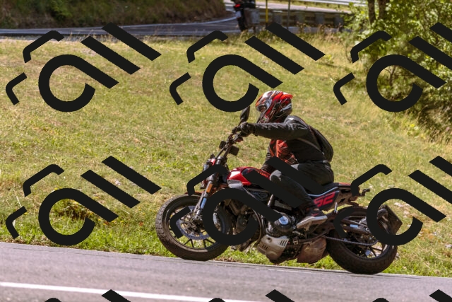 202508091130-_DSC5929_d1_