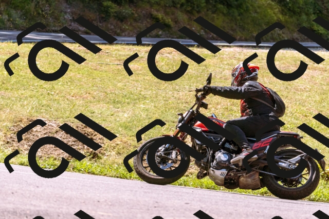 202508091130-_DSC5930_d1_