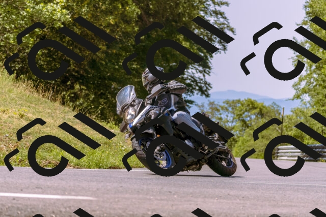 202508091130-_DSC5932_d1_