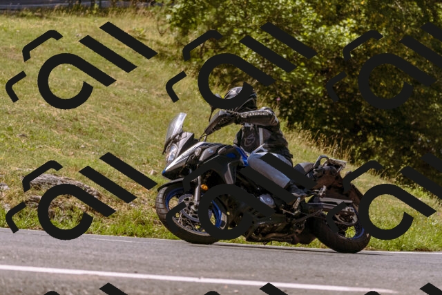 202508091130-_DSC5933_d1_