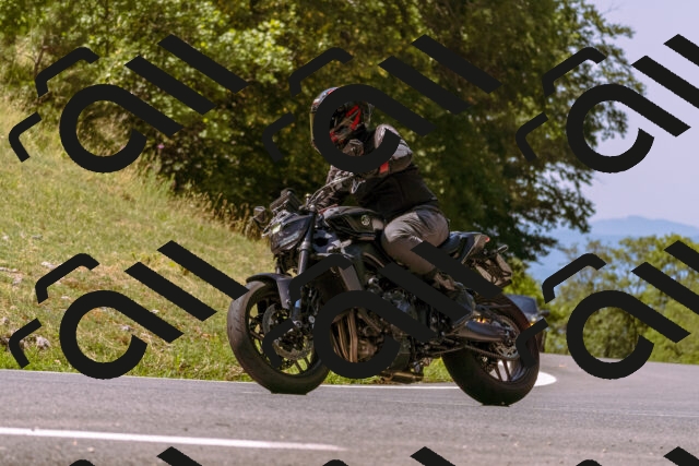 202508091130-_DSC5937_d1_